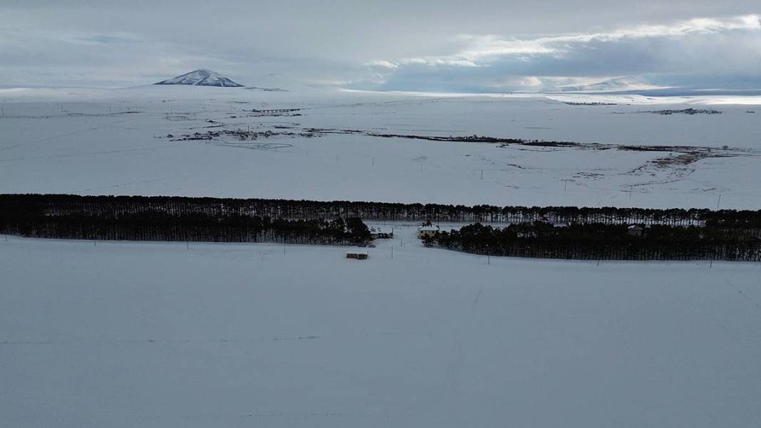 Karlar kraliçesinin saklı bahçesi gibi! Bozkırda yükselen yeşil cennet 1